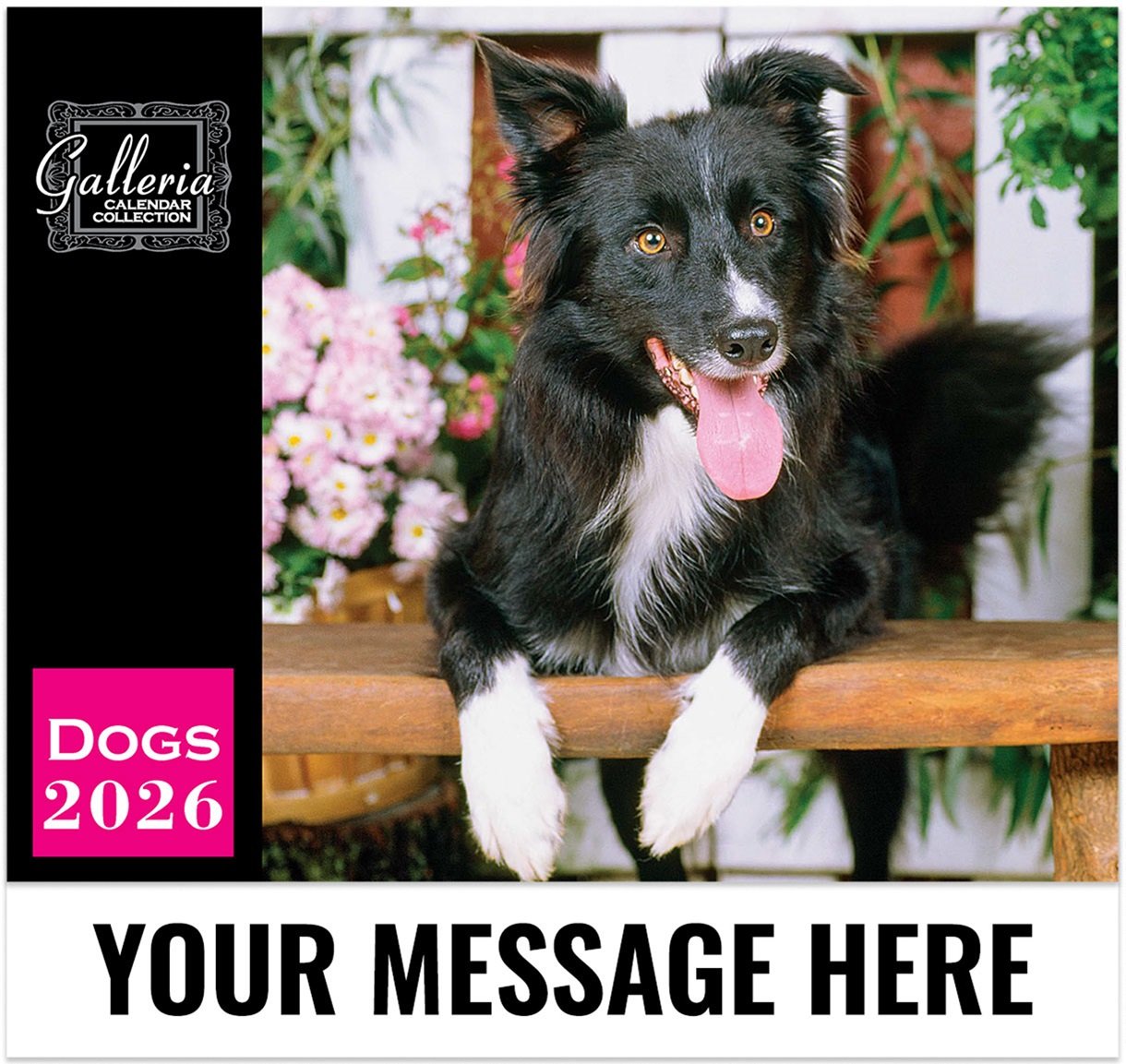 2026 Dogs Wall Calendar